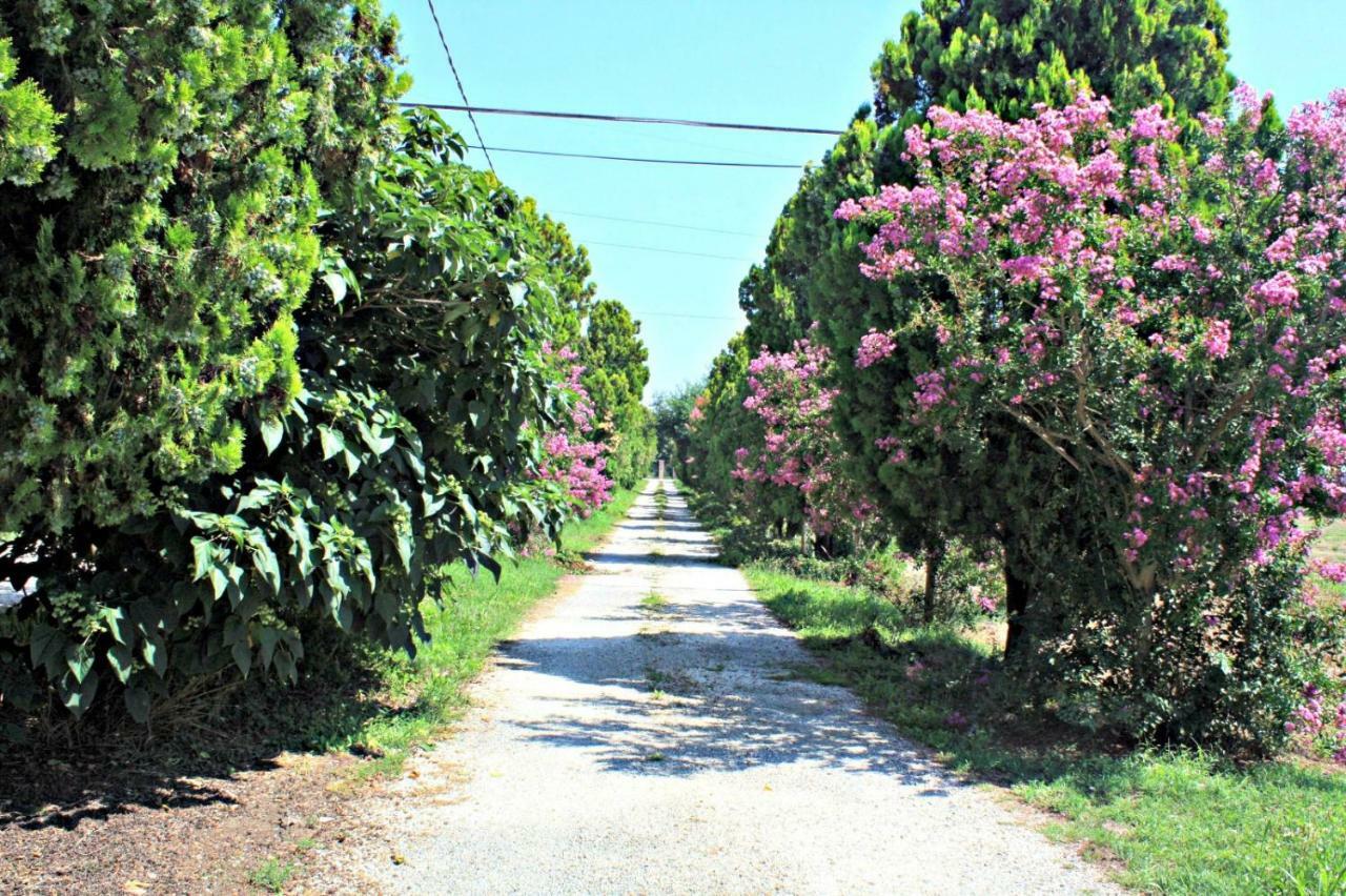 B&B Villa Paolida, Aceto Balsamico & Acetaia Antica Nonantola Экстерьер фото